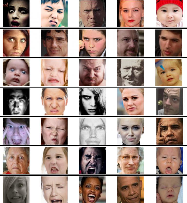 Face Attribute Recognition